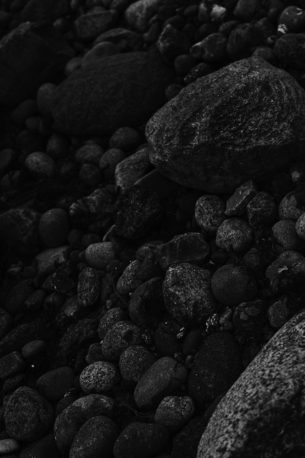 Claudia Malecka – Tides of Freedom