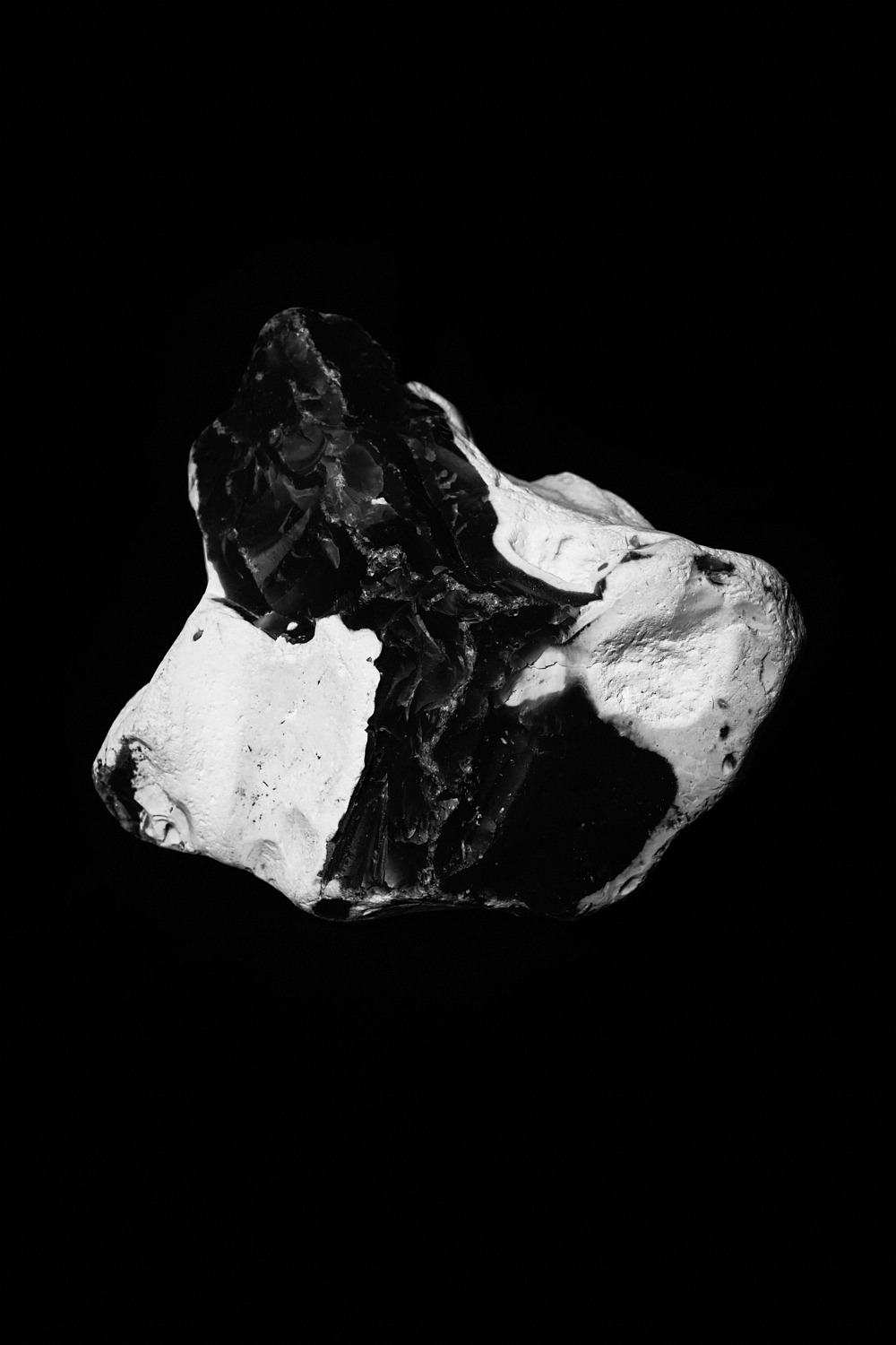 Claudia Malecka – Tides of Freedom